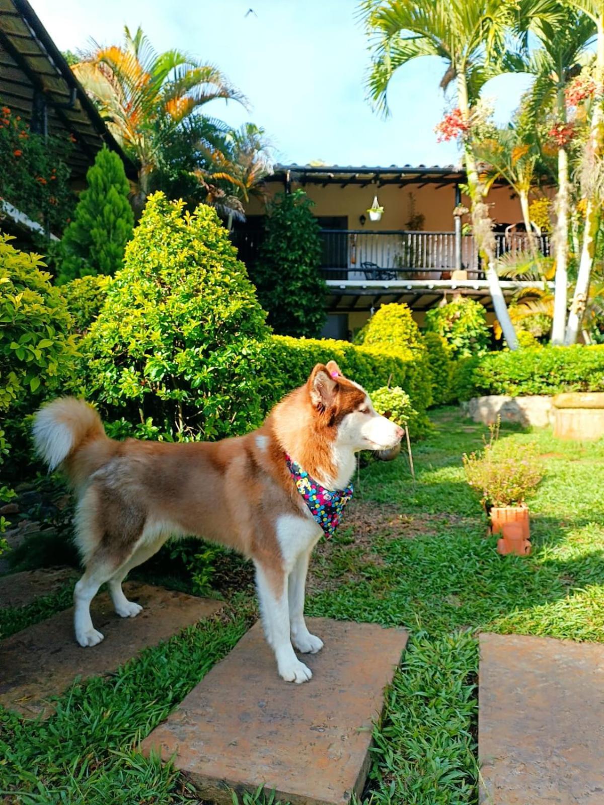 Hotel Campestre Casona Del Camino Real سان جيل المظهر الخارجي الصورة